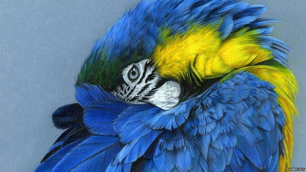 L'Oiseau Bleu by Corinne Dupeyrat