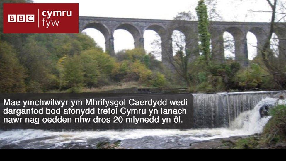 ___________________________________________________________________________________________________________