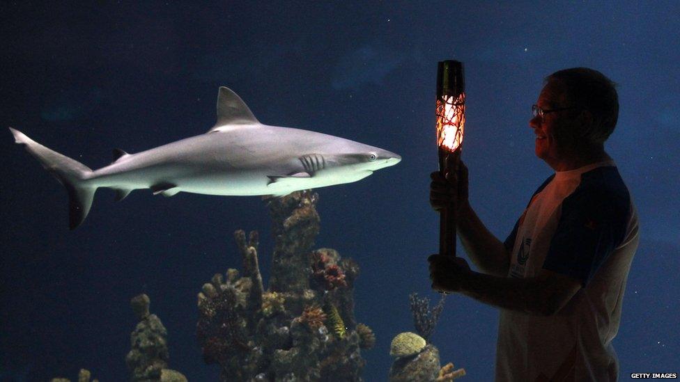 Pat Revell with the Queen's Baton in front of the main tank at The Deep Aquarium on 11 June 2014 in Hull