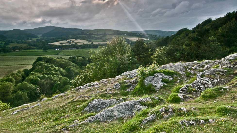 View from the top of Loggerheads Country Park