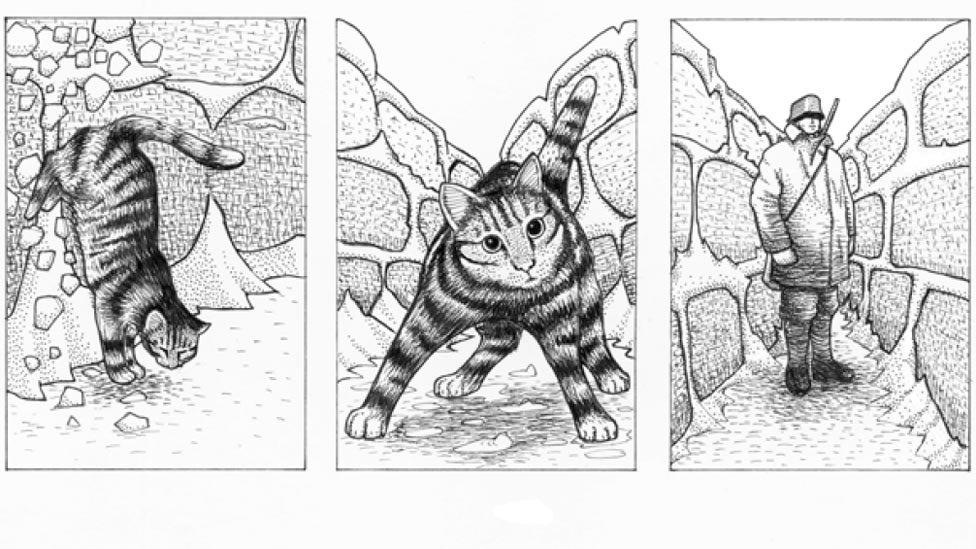 Illustrations from Il Gatto