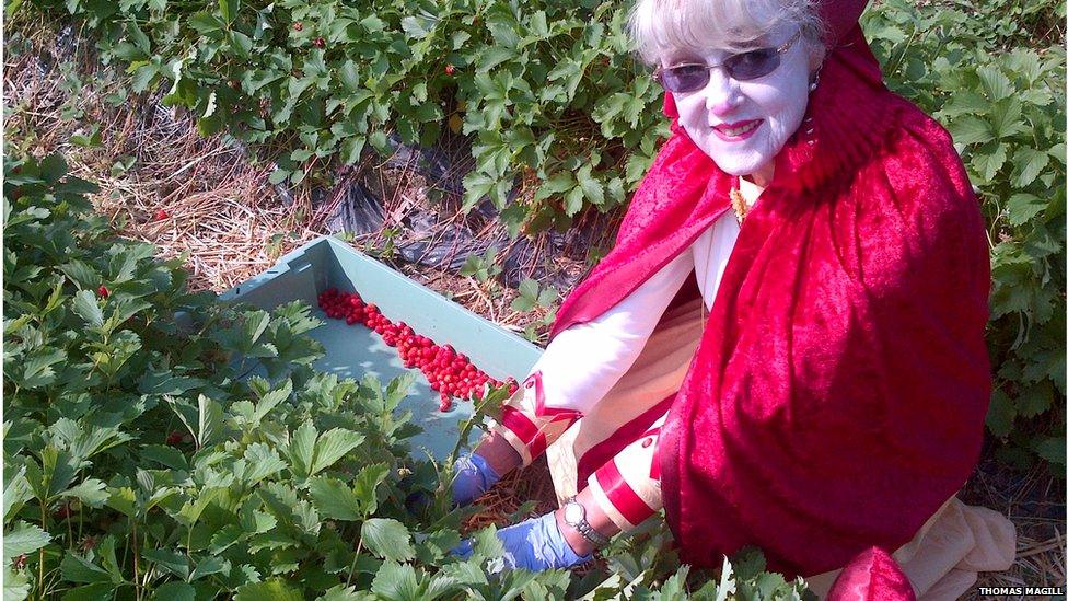 strawberry picker