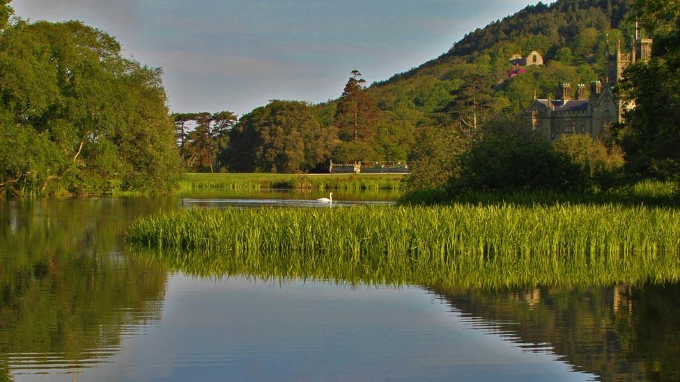 Early morning at Margam Country Park