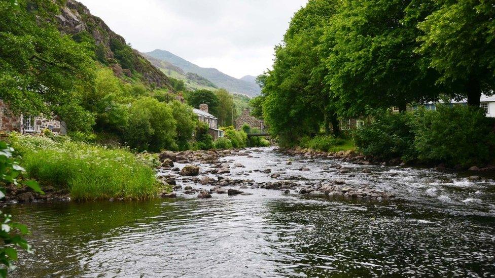 Beddgelert