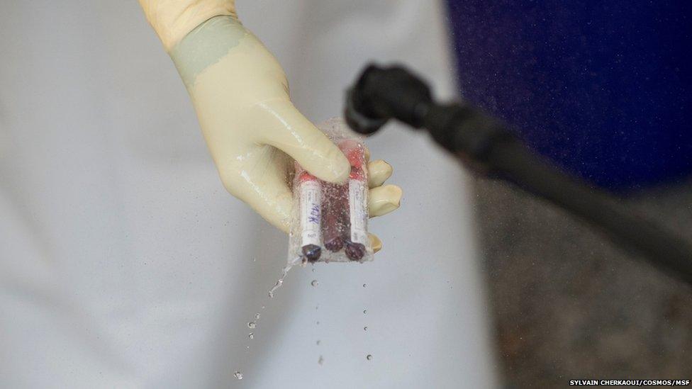 Blood samples taken from suspected cases