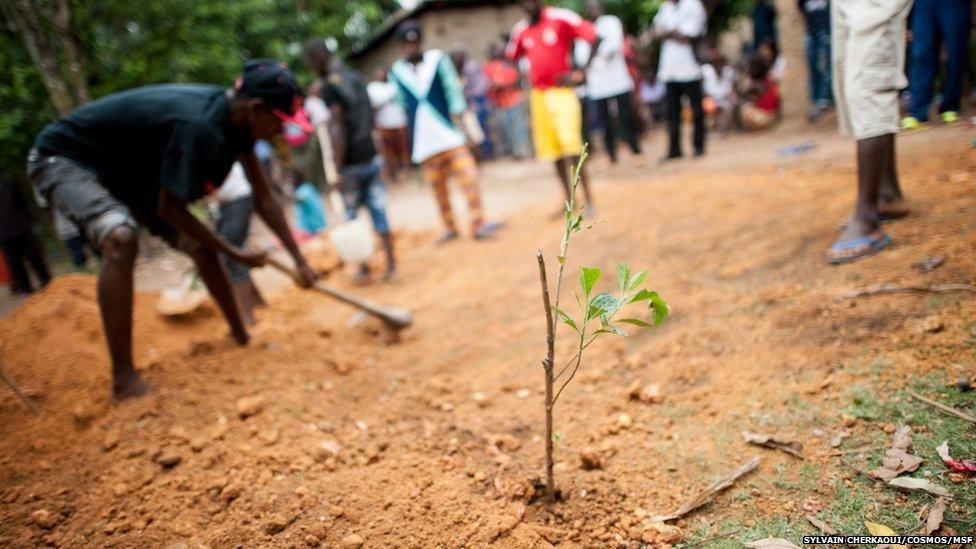 Finda Marie’s grave is marked by a solitary sapling