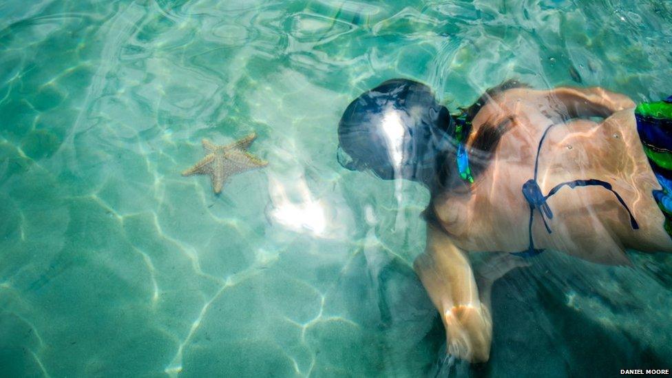 Swimming in Starfish Beach