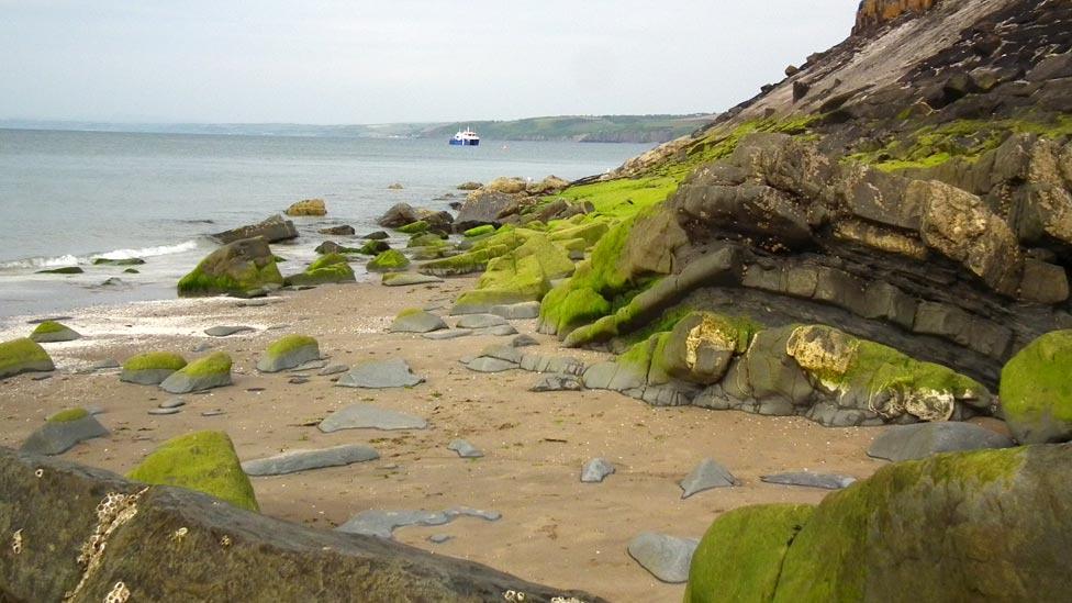 Coast at New Quay, Ceredigion