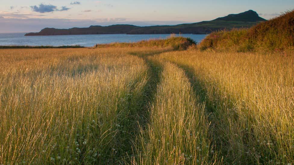 View from Porthsele beach, Pembrokeshire