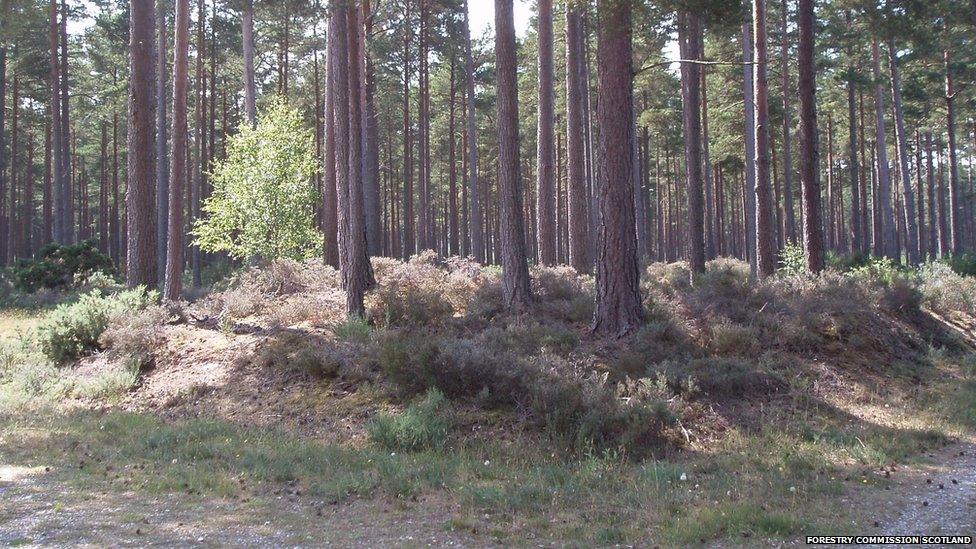 Hidden History area at Culbin Forest