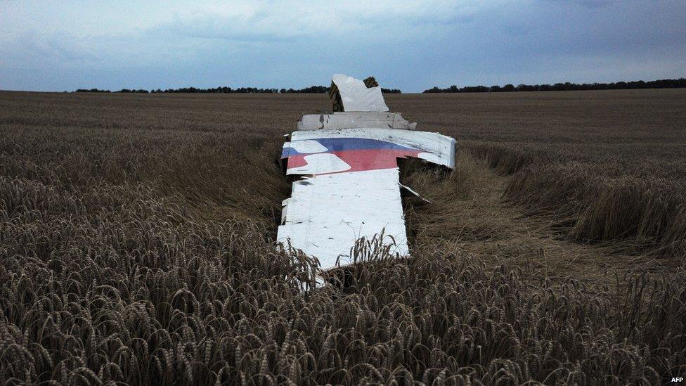 A picture taken on 17 July 2014 shows the wreckages of the Malaysian Airliner carrying 298 people from Amsterdam to Kuala Lumpur after it crashed, near the town of Shaktarsk, in rebel-held east Ukraine