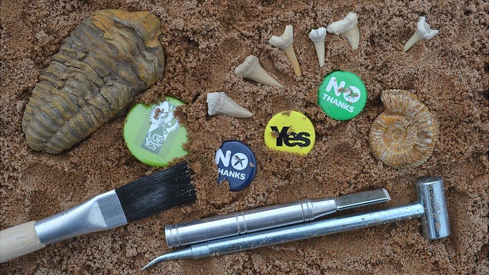 Fossils and badges