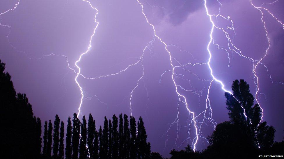 Lightning over trees.