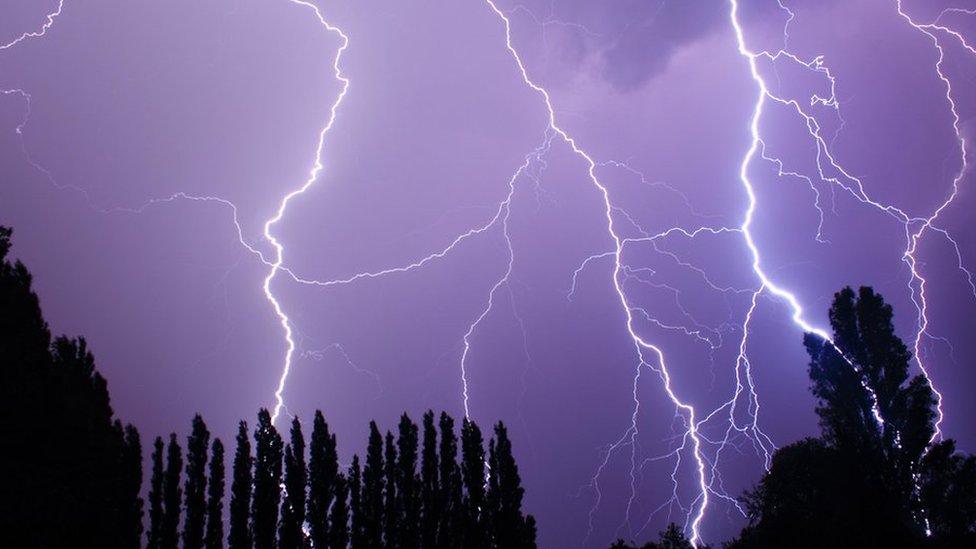 Lightning over trees.