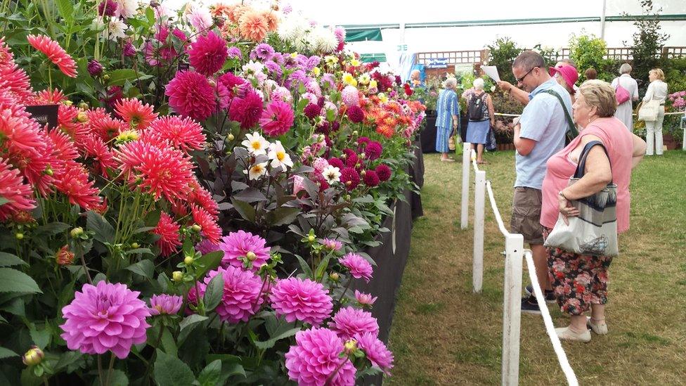 Flower display