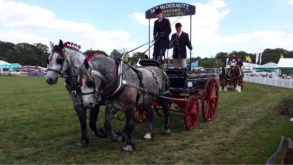 Vintage horse-drawn commercial vehicles at the New Forest Show