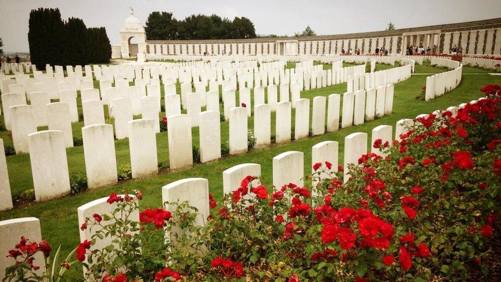 Red rose bushes sit behind rows of gravestones.