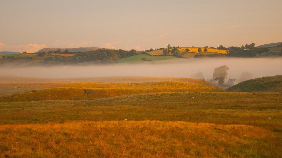 A cottage in Powys shrouded by the morning mist