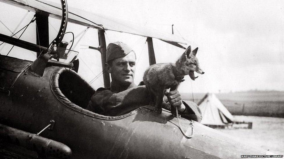 RAF fox mascot with pilot in WW1