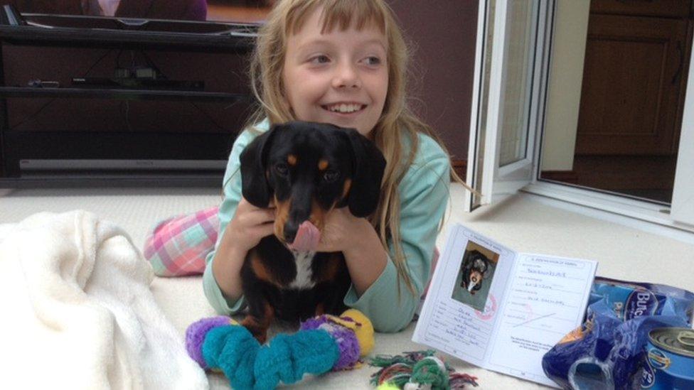 little girl cuddling a dog, with a dog passport