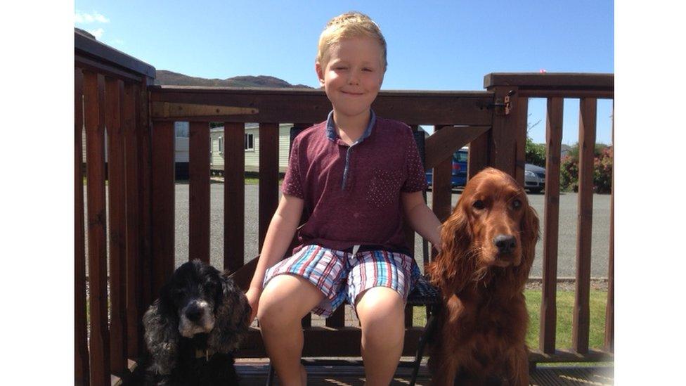 little boy with two dogs at a caravan