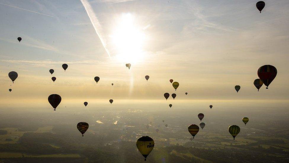 Balloons in the air