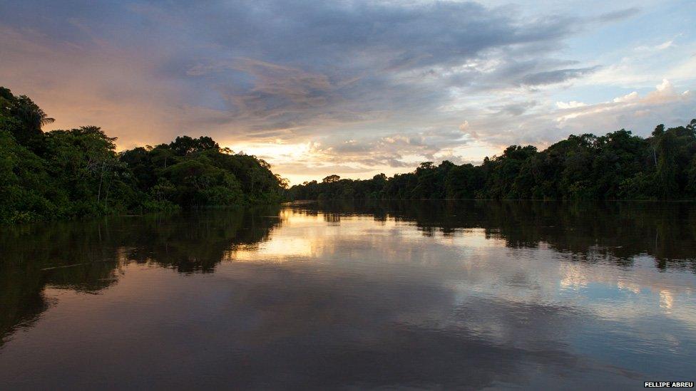 View of the Javari river on the Peru-Brazil border on 9 March 2013.