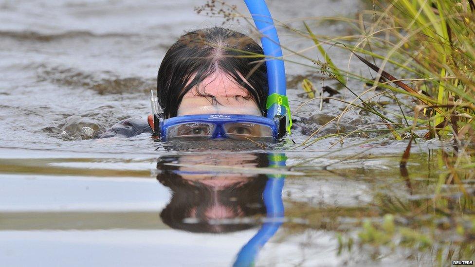 Llanwrtyd Wells bog snorkelling championships 2014 - woman competing