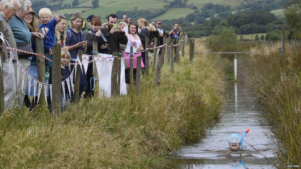 Llanwrtyd Wells bog snorkelling championships 2014 - crowd watches a competitor