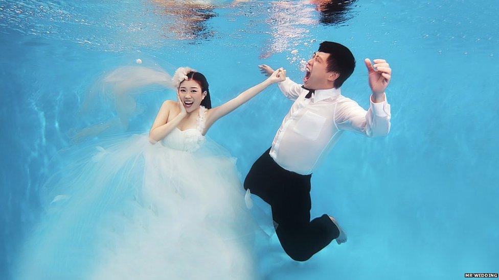 Da Bing & Yoyo photographed underwater