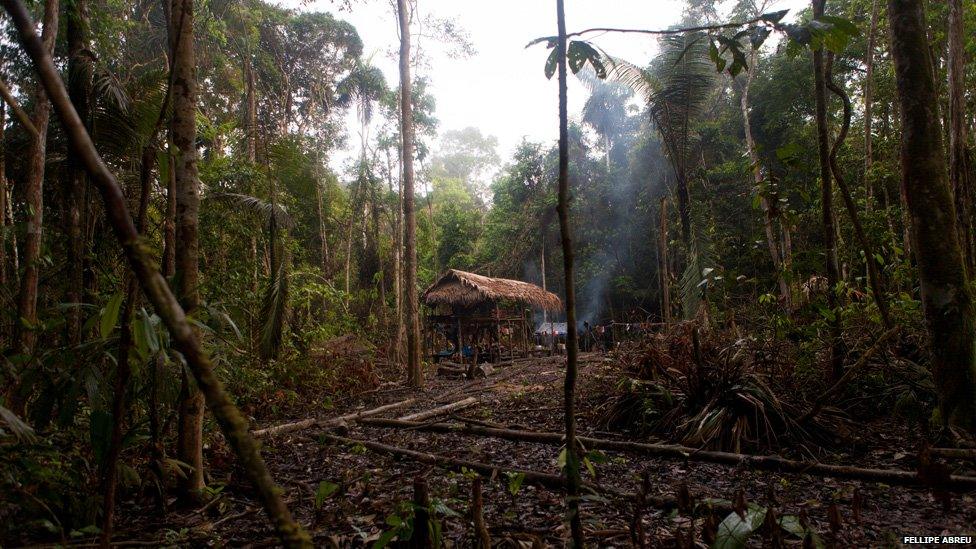 Camp built by illegal loggers in the Peruvian jungle, on the shores of the of the Esperanza river on 3 April 2013.