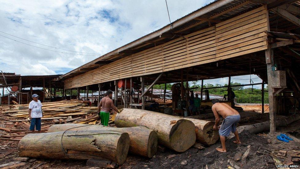 A sawmill in Islandia on 4 March 2013