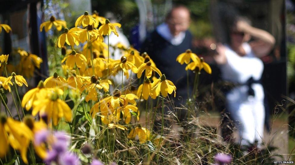 Visitors look at floral displays at the Royal Horticultural Society Flower Show at Wisley Gardens