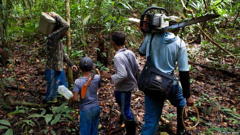 Paulo (not his real name) his brother-in-la, his nephew and son walk in the forest in the indigenous area of Fray Pedro on 13 March 2013.