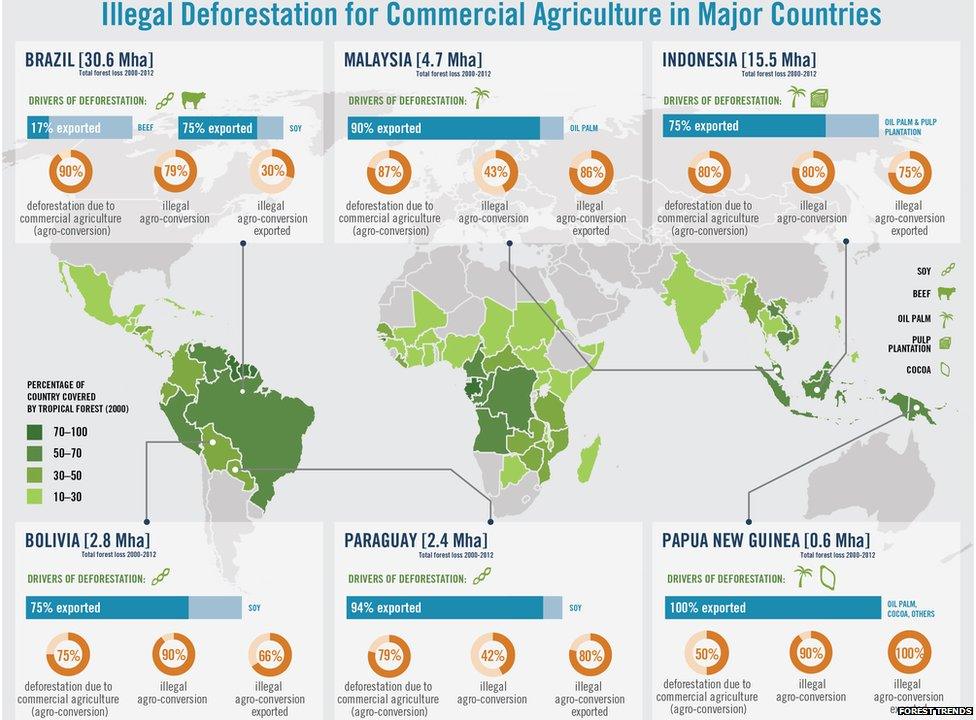 Forest trends global impacts