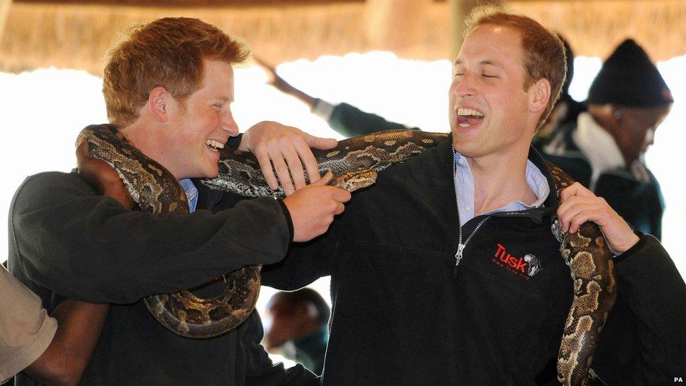 rock python during a visit to the Mokolodi Nature Reserve in Gabarone, Botswana