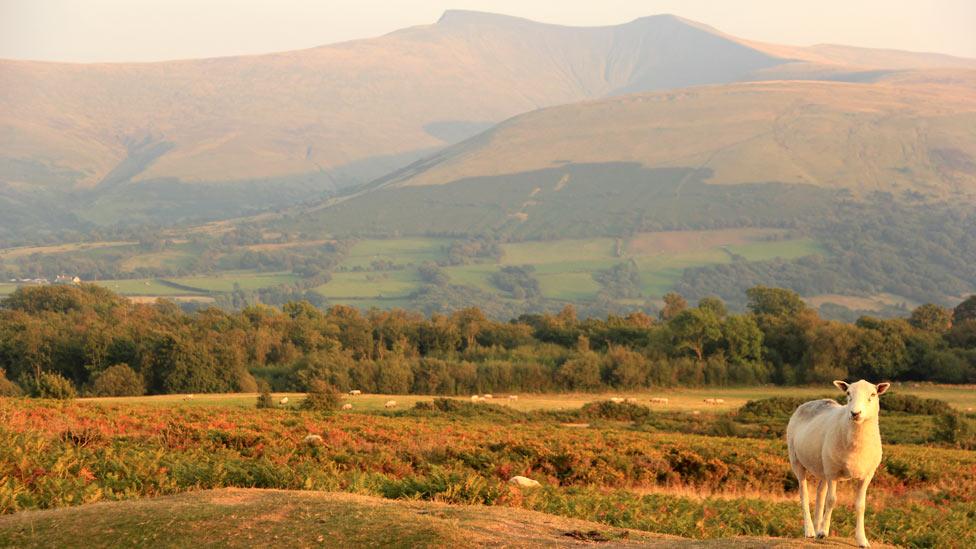 Pen-y-fan and Corn Du in the Brecon Beacons