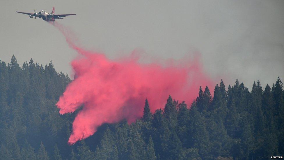 Plane dropping fire retardant on to trees