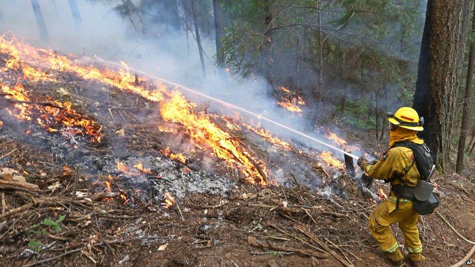 Fire-fighters putting out flames