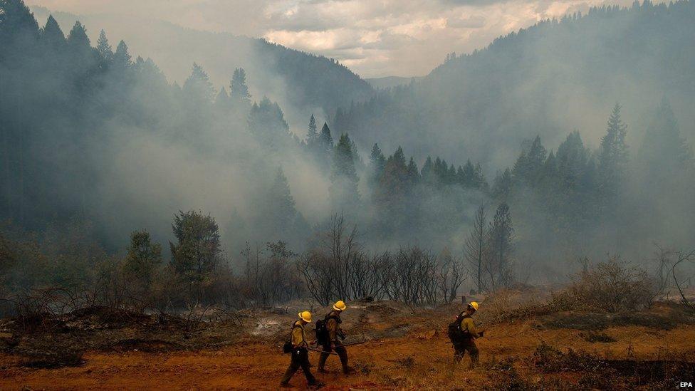 Fire-fighters walking through forest