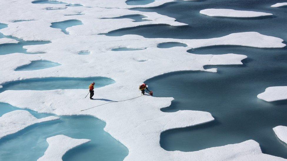 Melt ponds on Arctic floes