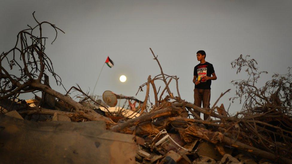 Palestinian stands among fallen trees in Gaza City's Shejaiya district