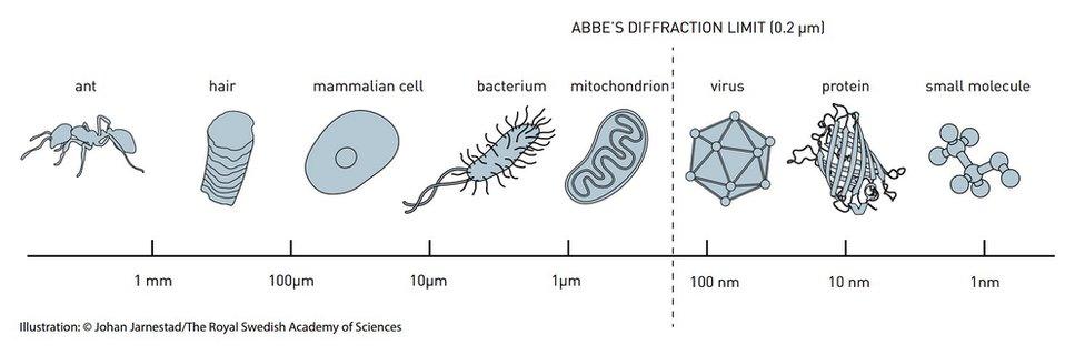 Scale