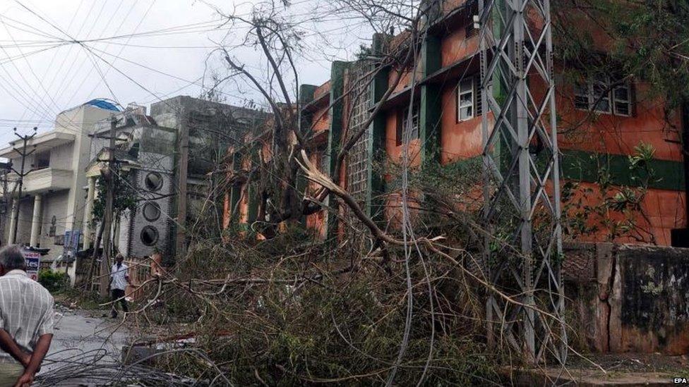 Tree branches are seen entangled in broken electric wires after cyclone Hudhud's land fall in Vishakapatnam in the Indian state of Andhra Pradesh, India on 13 October 2014