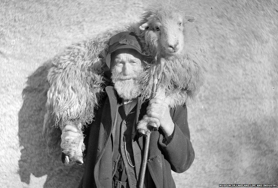 Man with sheep