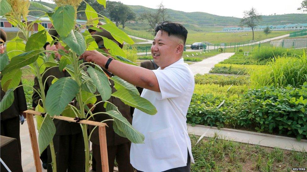 North Korean leader Kim Jong-un inspects some plants