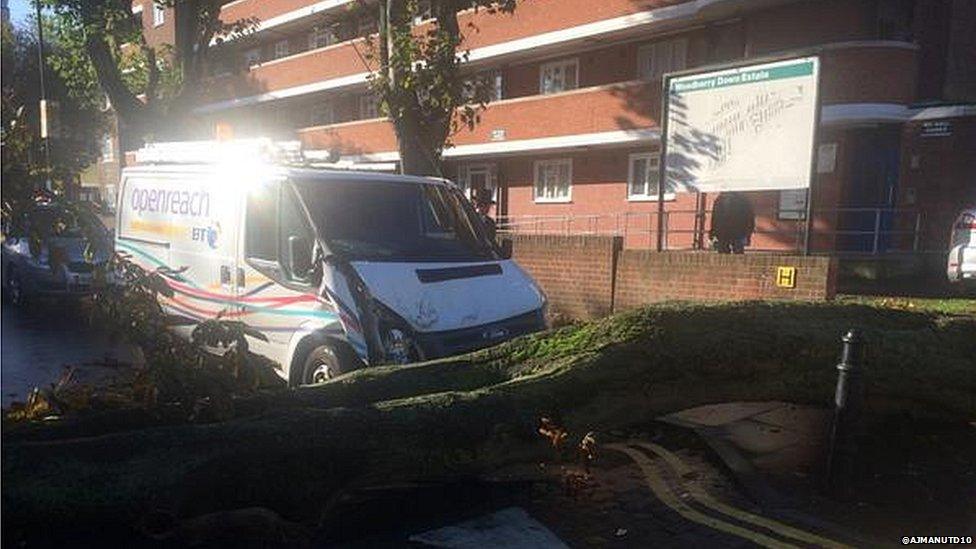 Fallen tree in front van.