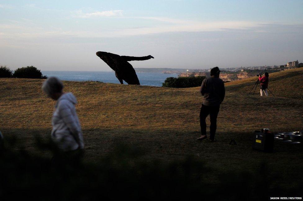 A whale sculpture by Michael Greve