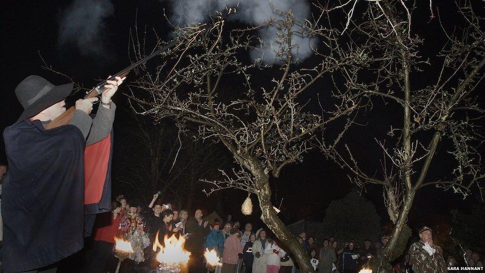 Wassailing the Orchard, Worthing, West Sussex