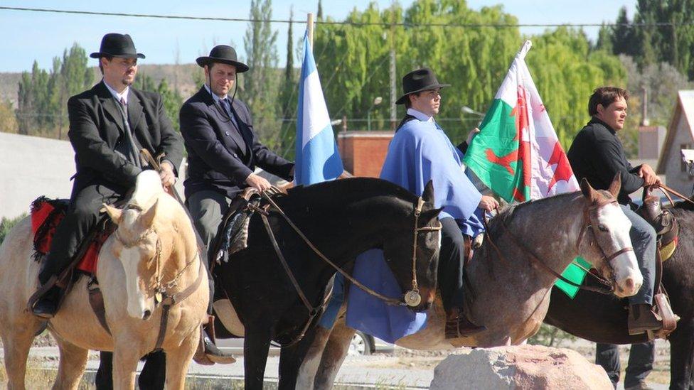 Gaucho